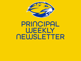  Weekly Newsletter